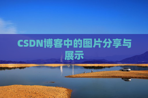 CSDN博客中的图片分享与展示